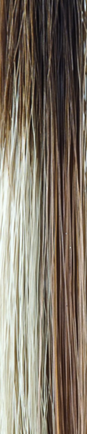 Angelica Large Cap Wig
