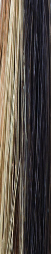 Angelica Large Cap Wig